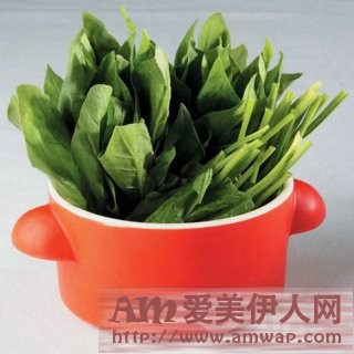 菠菜