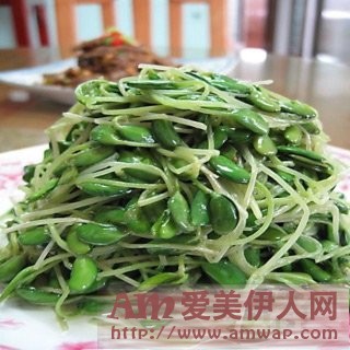 豆苗