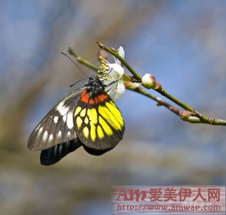 人生的意义