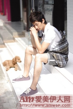 恋爱兵法：选择猫狗兵法