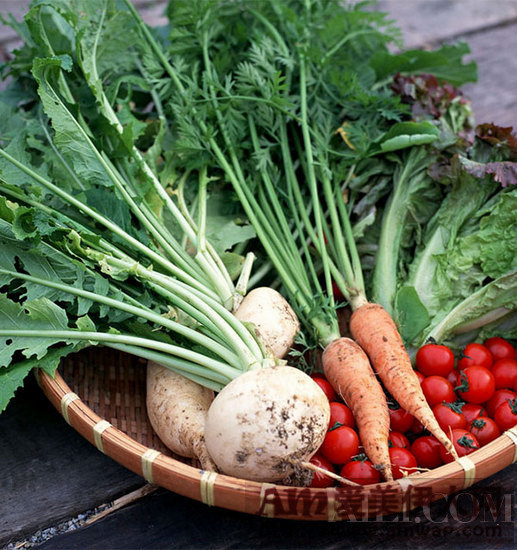 饮食+运动瘦身效果让你大吃一惊 1天减1斤妥妥滴