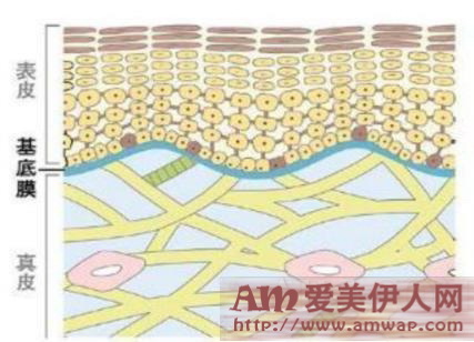 立体保养，弹润加乘 urara悠莱臻弹柔采系列全新升级上市