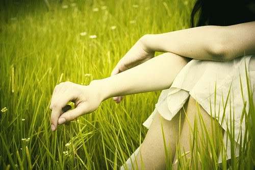 关于过户介绍信范文